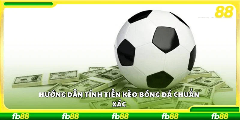 Hướng dẫn tính tiền kèo bóng đá chuẩn xác