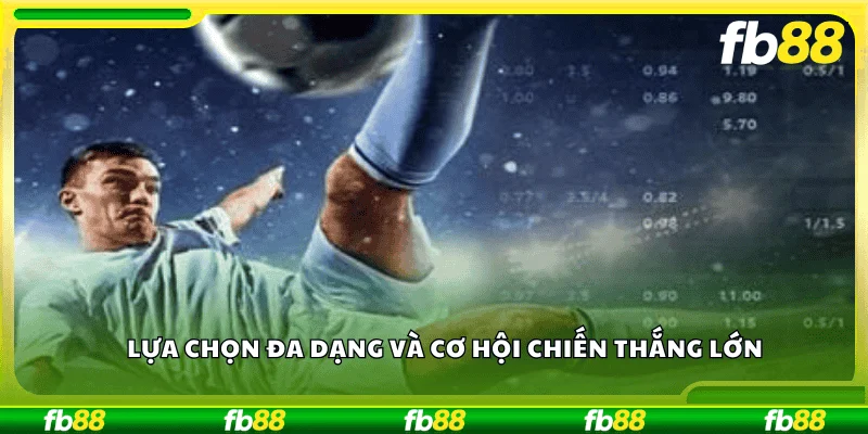 Lựa chọn đa dạng và cơ hội chiến thắng lớn